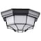 Nuvo LED Spider Cage Fixture, Black Finish with Frosted Glass 62/1400 - alternate 3